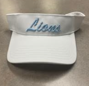 The Game Changer Performance Visor