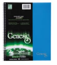 Genesis Notebooks